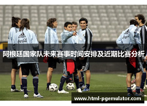 阿根廷国家队未来赛事时间安排及近期比赛分析